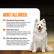 Averapets Ganador Premium Adult Lamb & Rice Makanan Anjing Dewasa Semua Ras