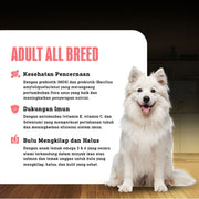 Averapets Ganador Premium Adult Salmon & Rice Makanan Anjing Dewasa Semua Ras