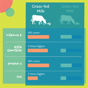 Averapets Daily Delight Moo Milk For Pets 1Liter